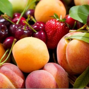 Fruits