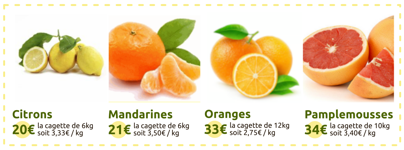 Citrons Jaunes Bio & Agrumes / en circuit court Producteurs Bio